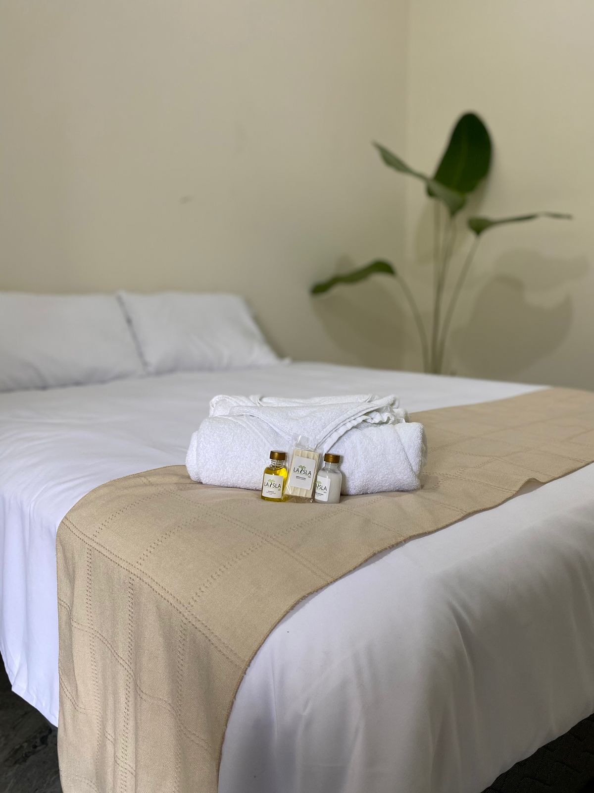 A spacious bed is dressed in crisp white linens, topped with a beige throw. Soft towels are neatly arranged on the bed, accompanied by small bottles of toiletries. A green plant in the corner adds a touch of nature to the serene space.