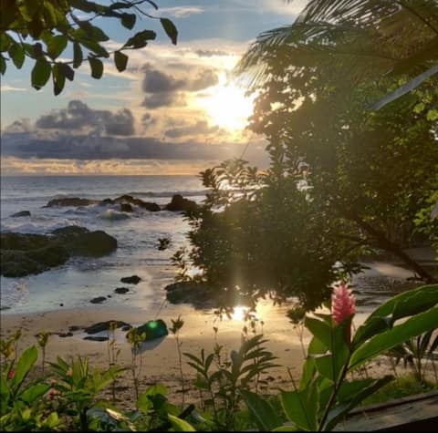 Casa Origen: Oceanfront, surrounded by jungle.