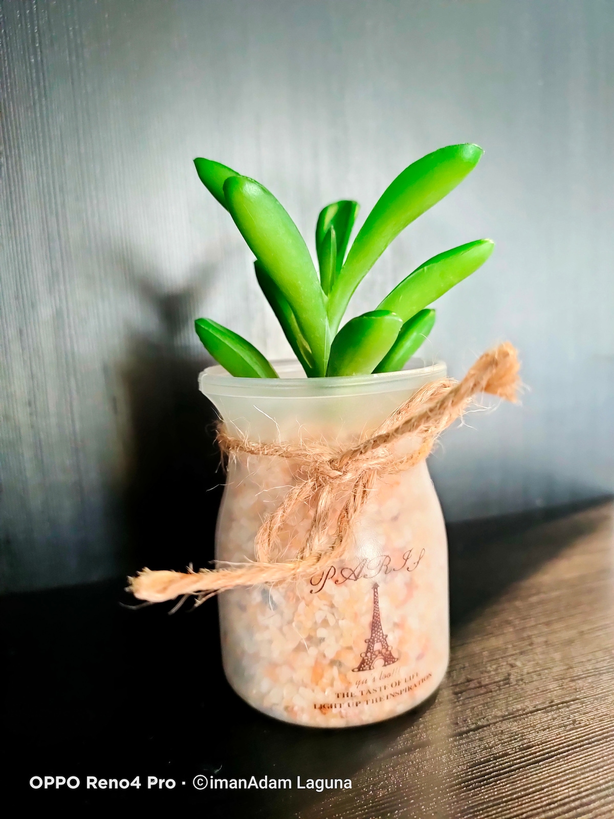 A decorative planter is displayed, featuring a small green plant emerging from a jar filled with white pebbles. The jar has a rustic twine bow tied around its neck and is adorned with a Paris-themed design.