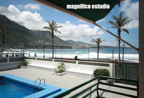 Magnificent Studio