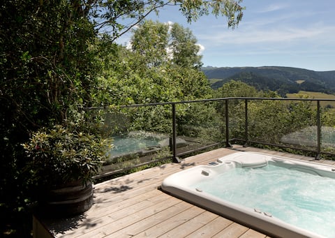 Exceptional house with a view of Sancy Auvergne.