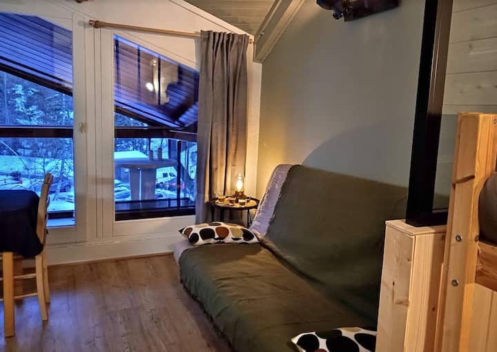 Studio Cabine Proche Télécabines 2/4 Pers - Lacs Jovet