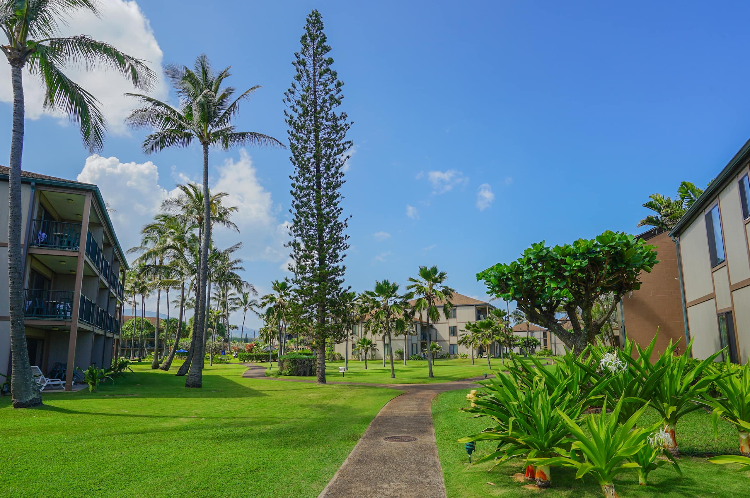 Condo in Kapaa · ★4.95 · 2 bedrooms · 2 beds · 2 private baths - Image 36