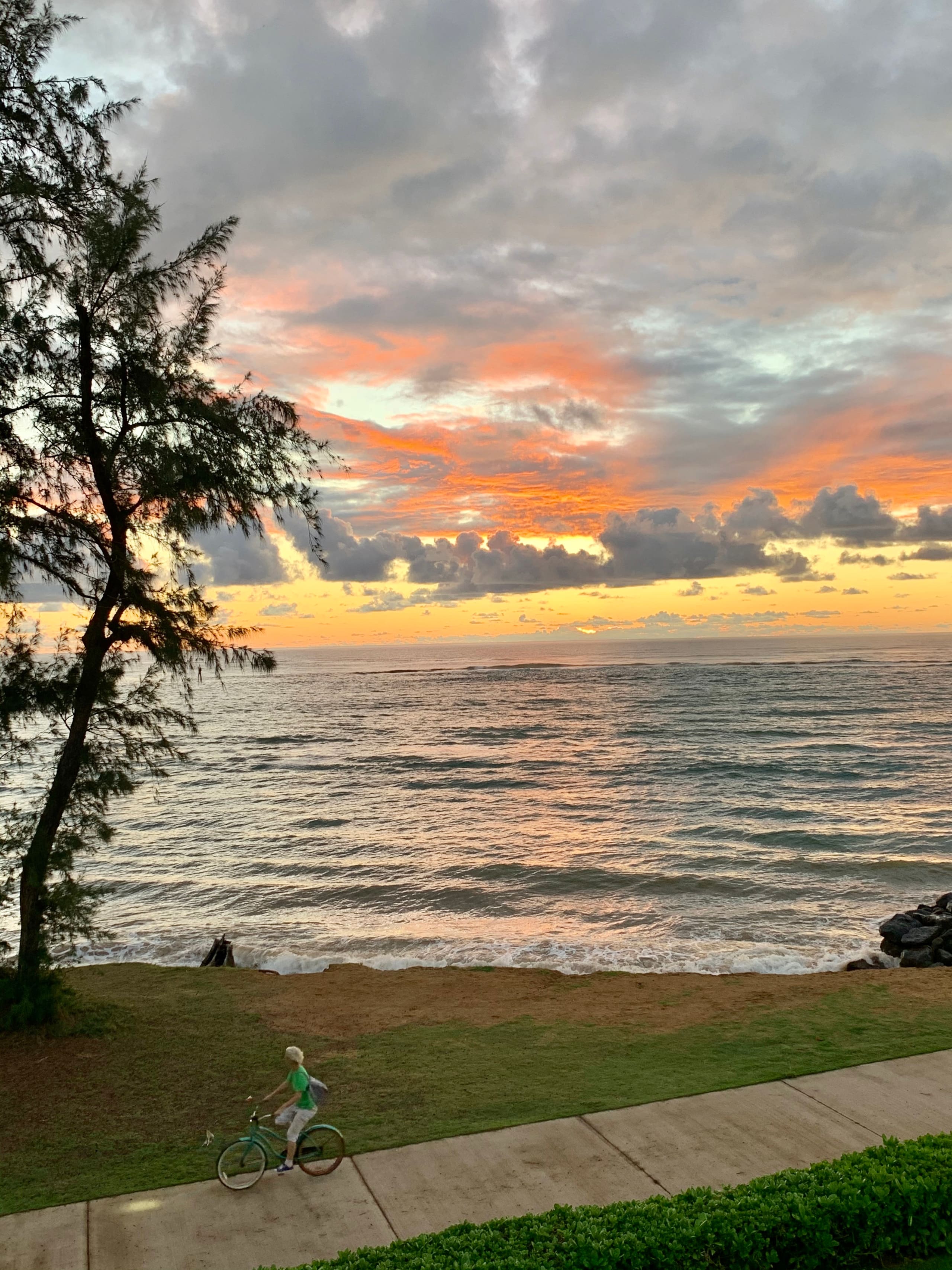 Condo in Kapaa · ★4.95 · 2 bedrooms · 2 beds · 2 private baths - Image 38