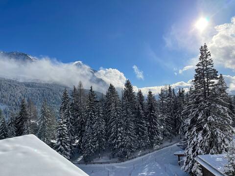 Beautiful chalet directly on the ski slope