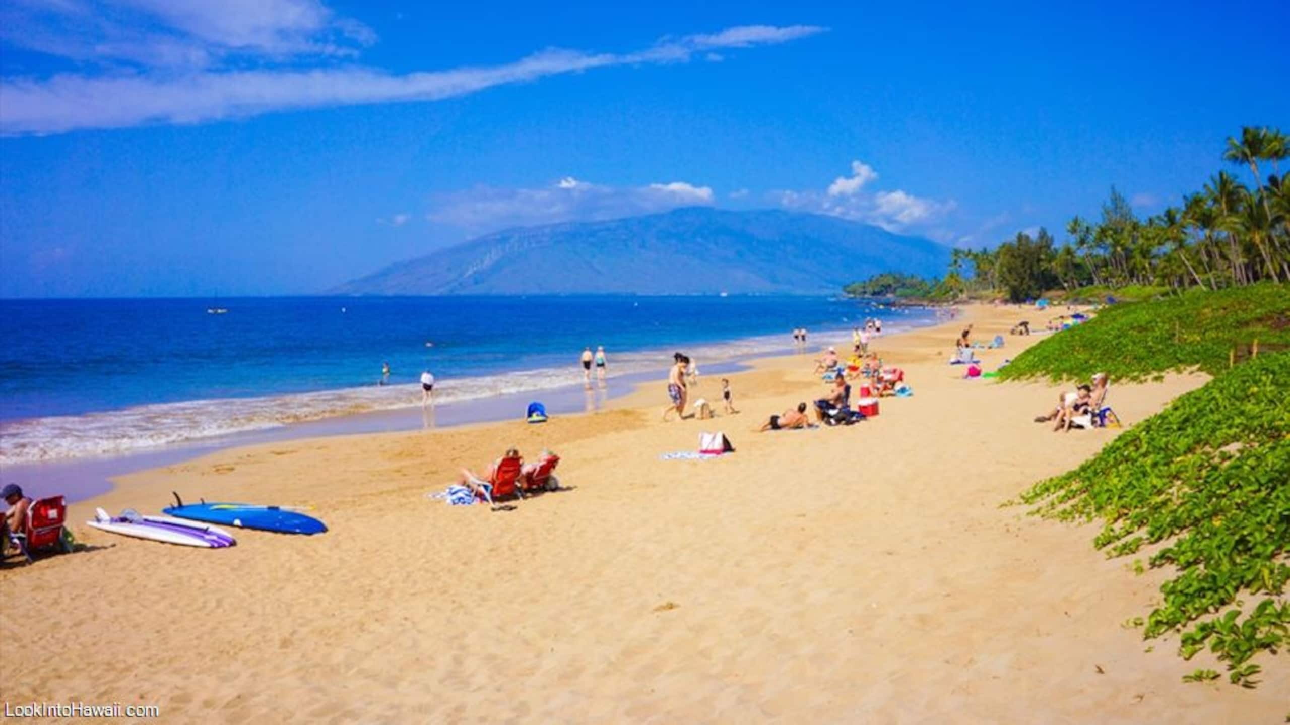 Condo in Kihei · ★4.89 · 2 bedrooms · 2 beds · 1 bath - Image 12