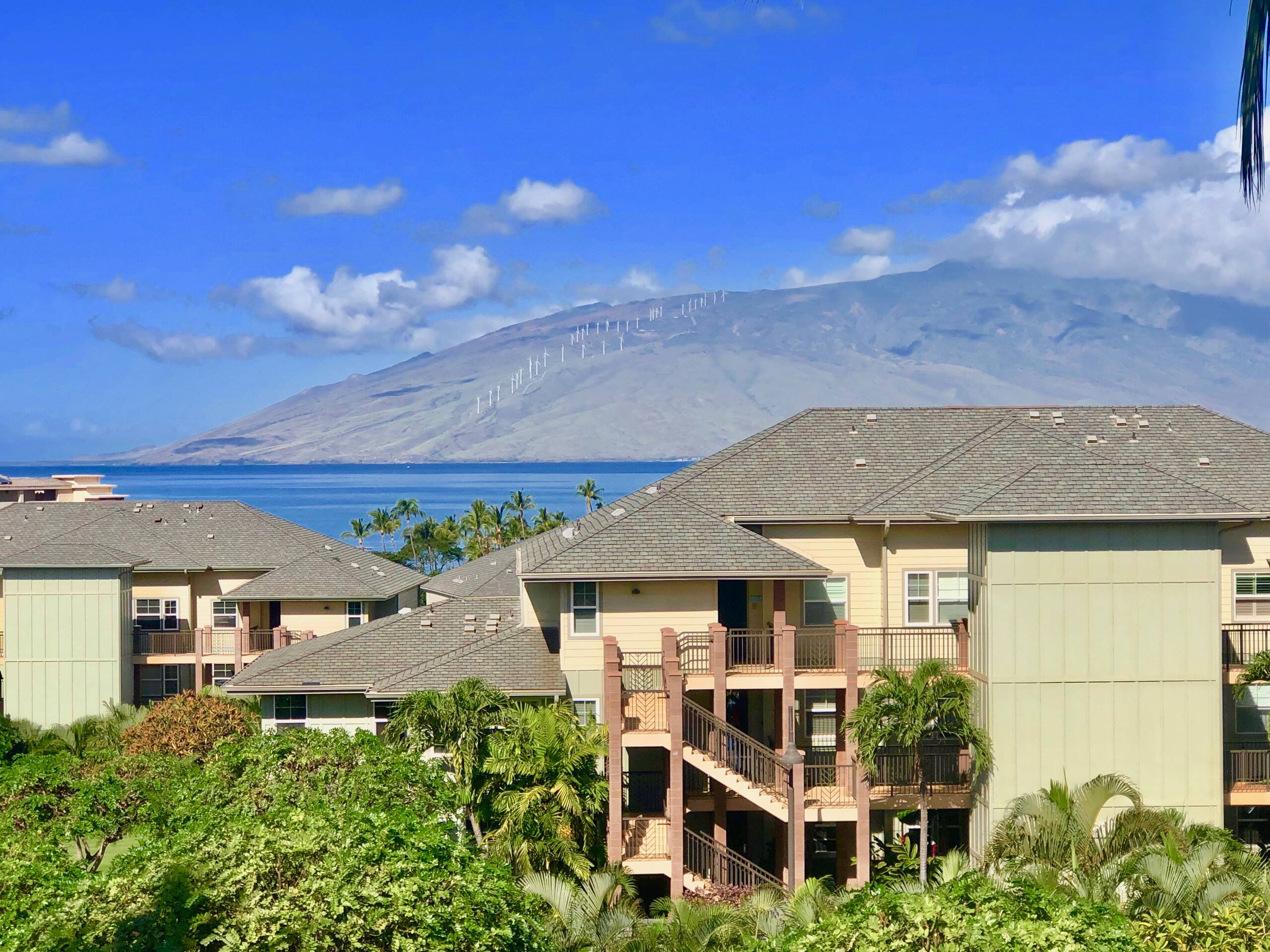 Condo in Kihei · ★4.89 · 2 bedrooms · 2 beds · 1 bath - Image 3
