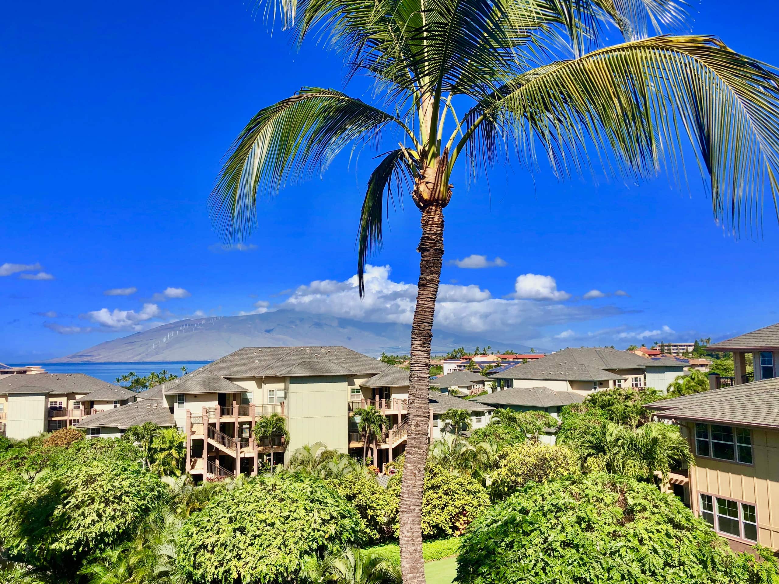 Condo in Kihei · ★4.89 · 2 bedrooms · 2 beds · 1 bath - Image 2