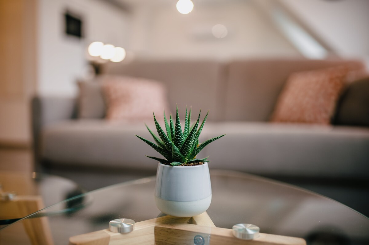 Top performing Airbnb: "Frêne" apartment close to Europapark/Rulantica in Boofzheim