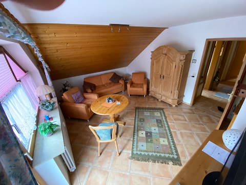 Leistungsstarkes Airbnb: Titisee longing - Cozy apartment with parking in Titisee Neustadt