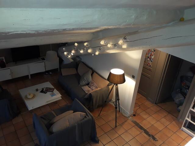 LYON CROIX ROUSSE GRAND APPARTEMENT CHALEUREUX gallery image 5