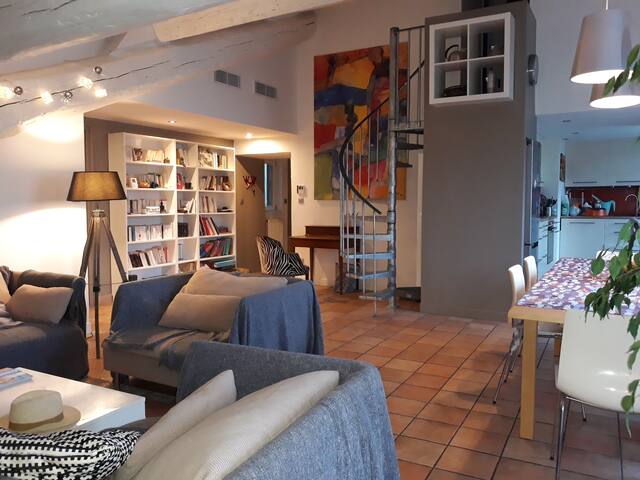 LYON CROIX ROUSSE GRAND APPARTEMENT CHALEUREUX