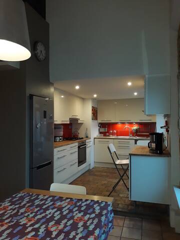 LYON CROIX ROUSSE GRAND APPARTEMENT CHALEUREUX gallery image 4