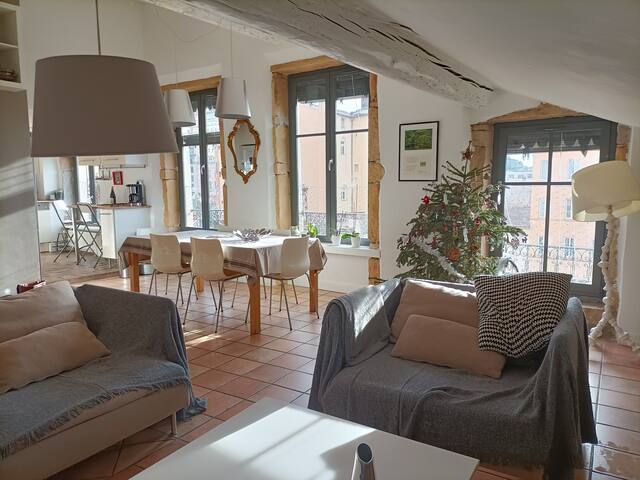 LYON CROIX ROUSSE GRAND APPARTEMENT CHALEUREUX gallery image 2