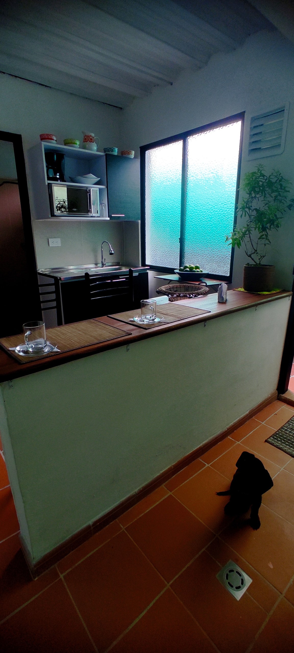 A modern kitchen area is depicted, featuring sleek cabinets and a sink. Natural light filters through a large window, illuminating the workspace. A small indoor plant adds a touch of greenery, and a black pet stands nearby, enhancing the warm ambiance of the space.