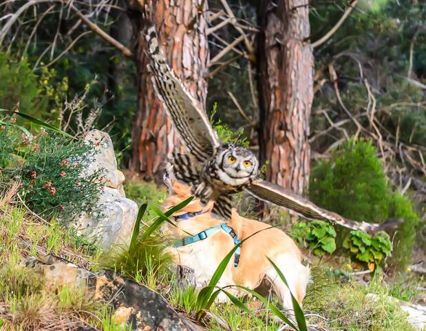2 sea-facing cottages with never-ending views gallery image 5