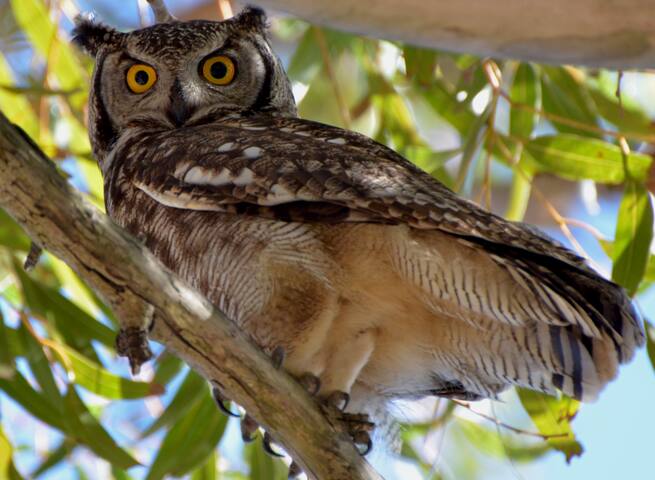 2 sea-facing cottages with never-ending views gallery image 2