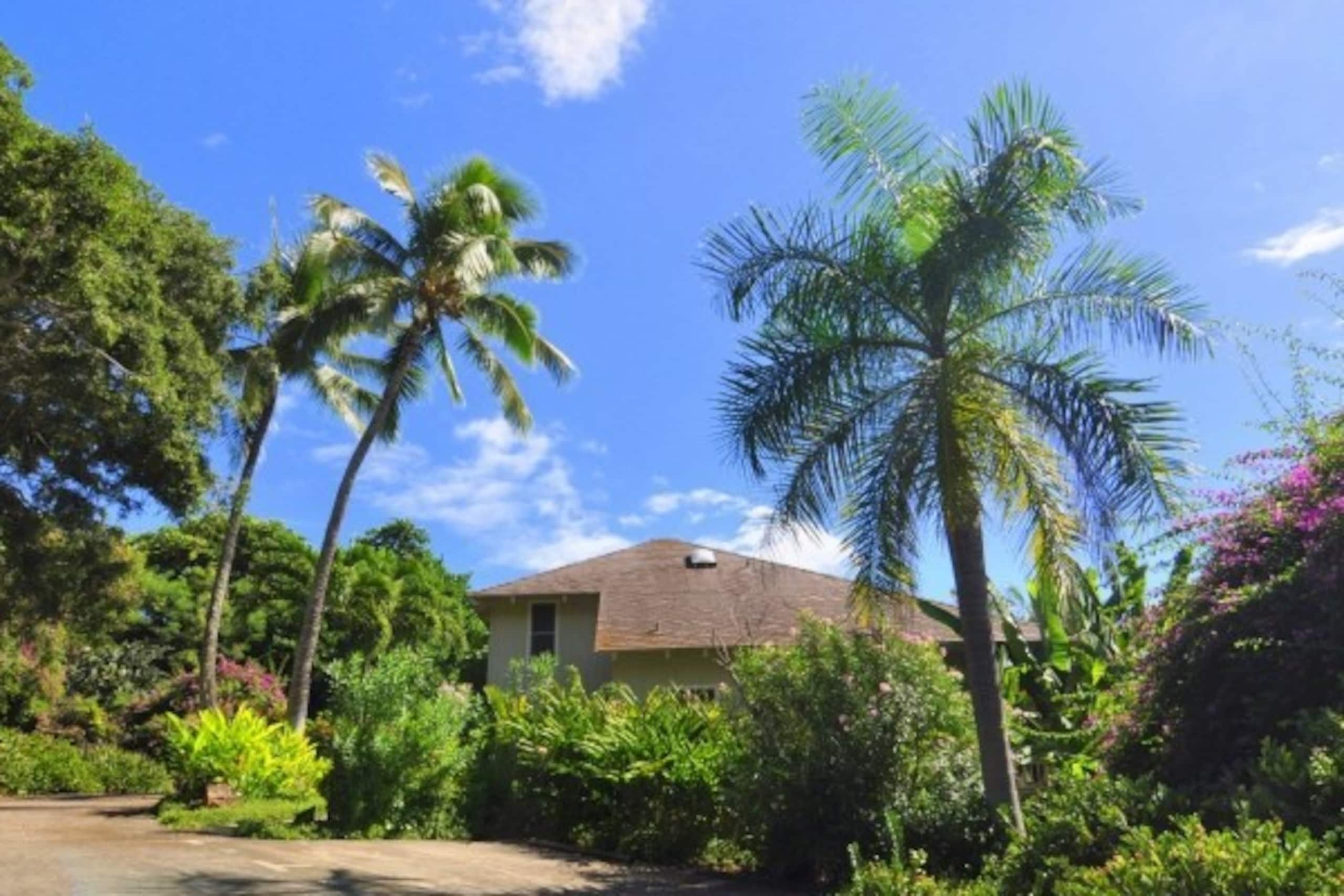 Townhouse in Koloa · ★4.84 · 2 bedrooms · 3 beds · 2 private baths - Image 1