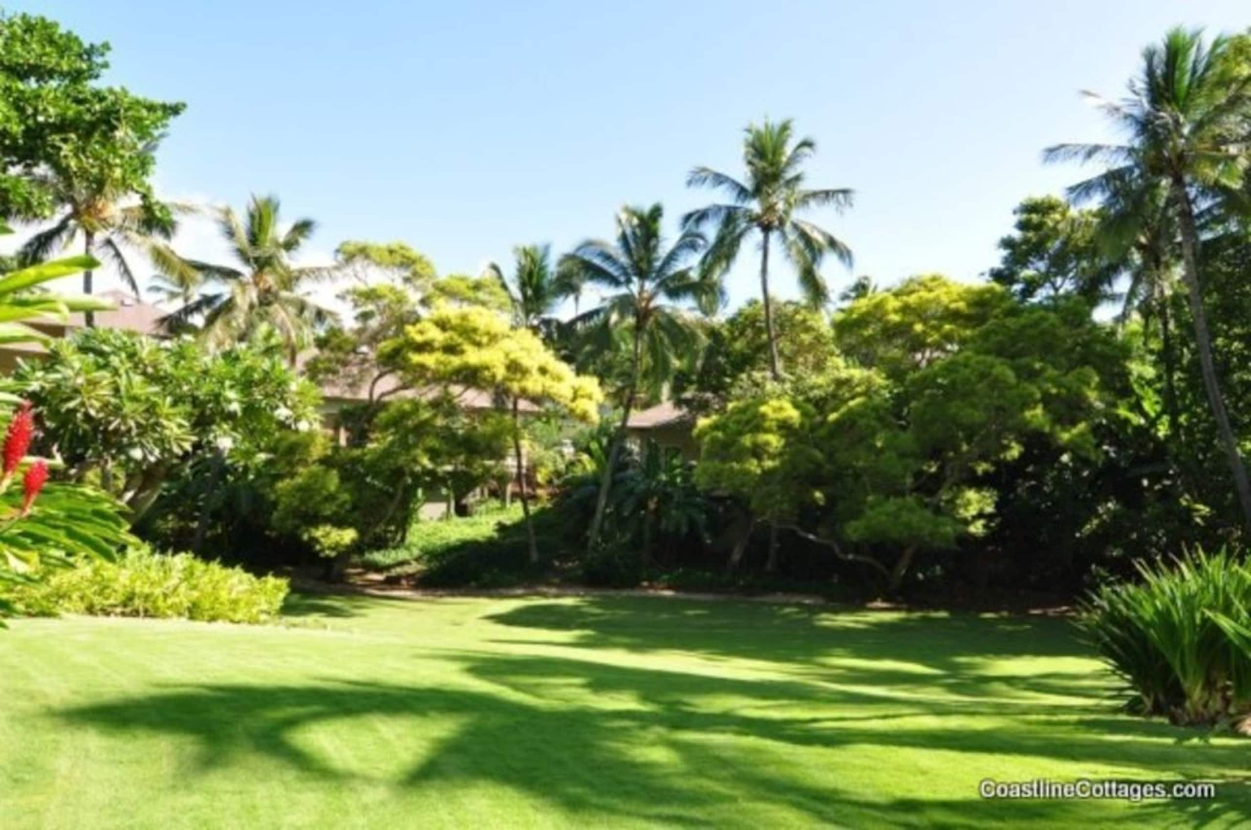 Townhouse in Koloa · ★4.84 · 2 bedrooms · 3 beds · 2 private baths - Image 15