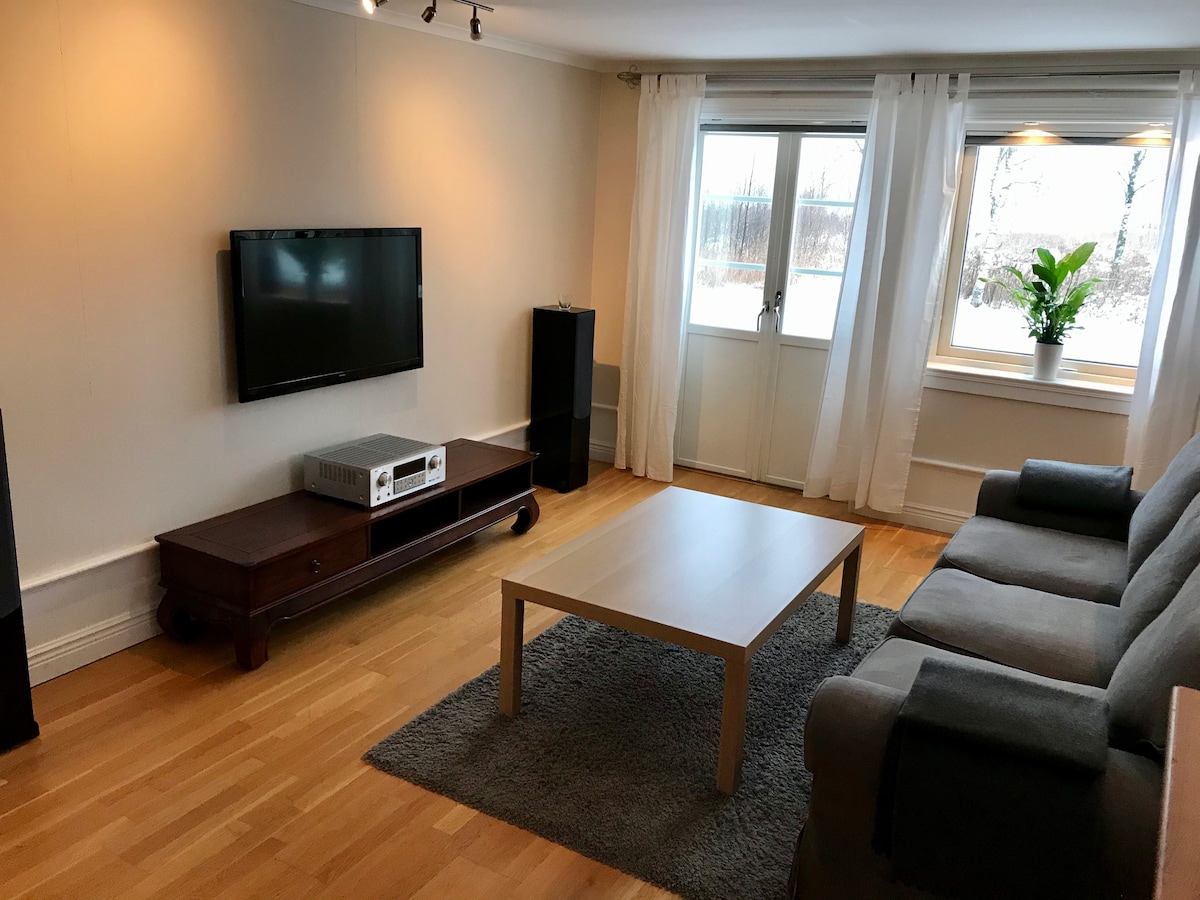 Sebule yenye kitanda cha sofa. 