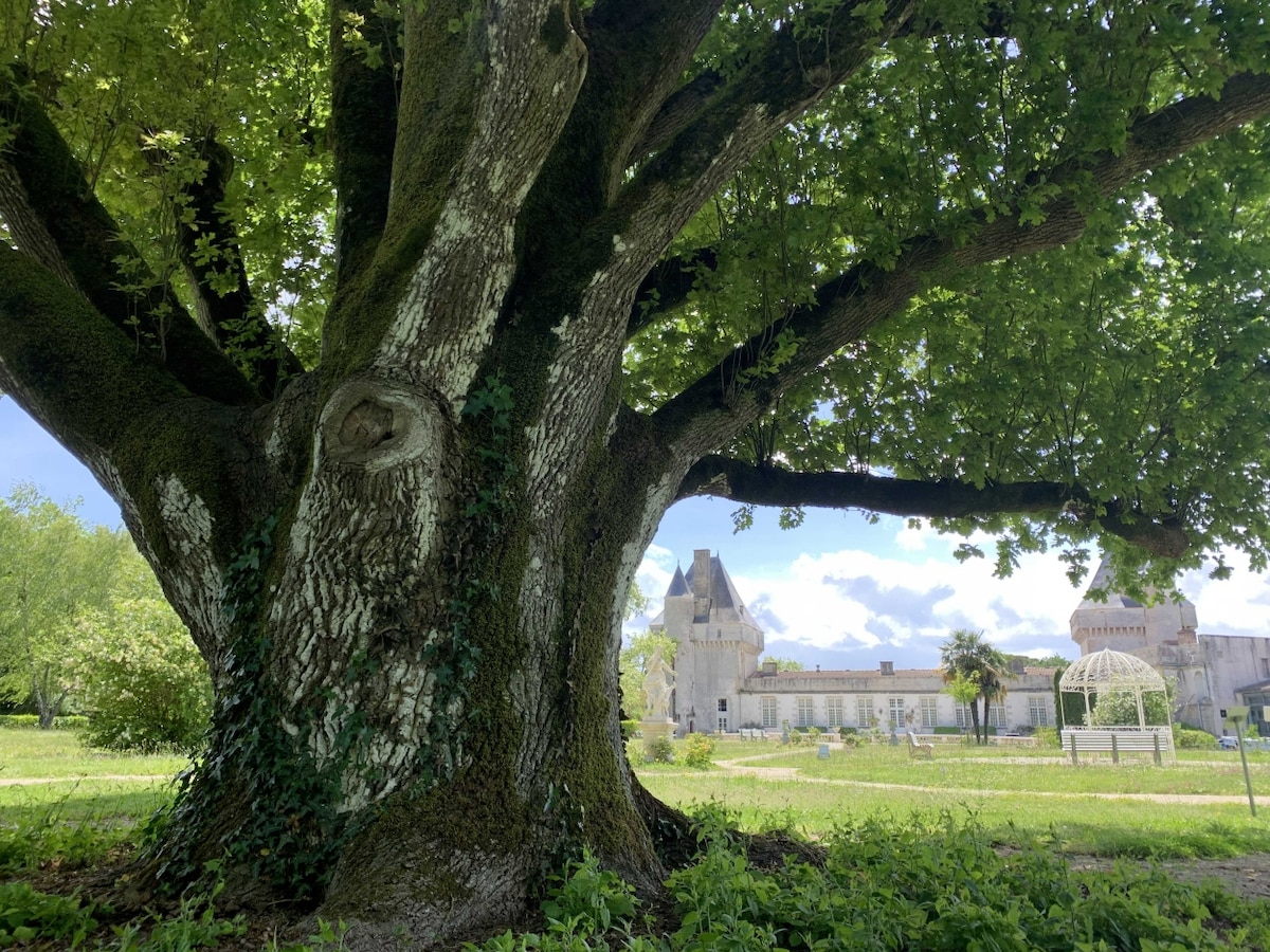 A large, mature tree stands prominently in the foreground, showcasing a textured trunk and lush green foliage. In the background, the historic Château de Mornay is visible, framed by a vibrant grassy area and a canopy of trees.
