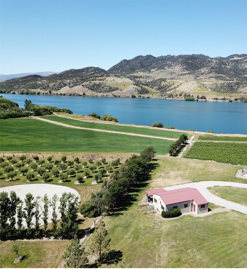 Aerial view showcases the cottage surrounded by verdant grounds, with Lake Dunstan and mountains in the background. The landscape features lush greenery, neatly arranged trees, and a clear blue sky, emphasizing the idyllic location within the boutique vineyard setting.