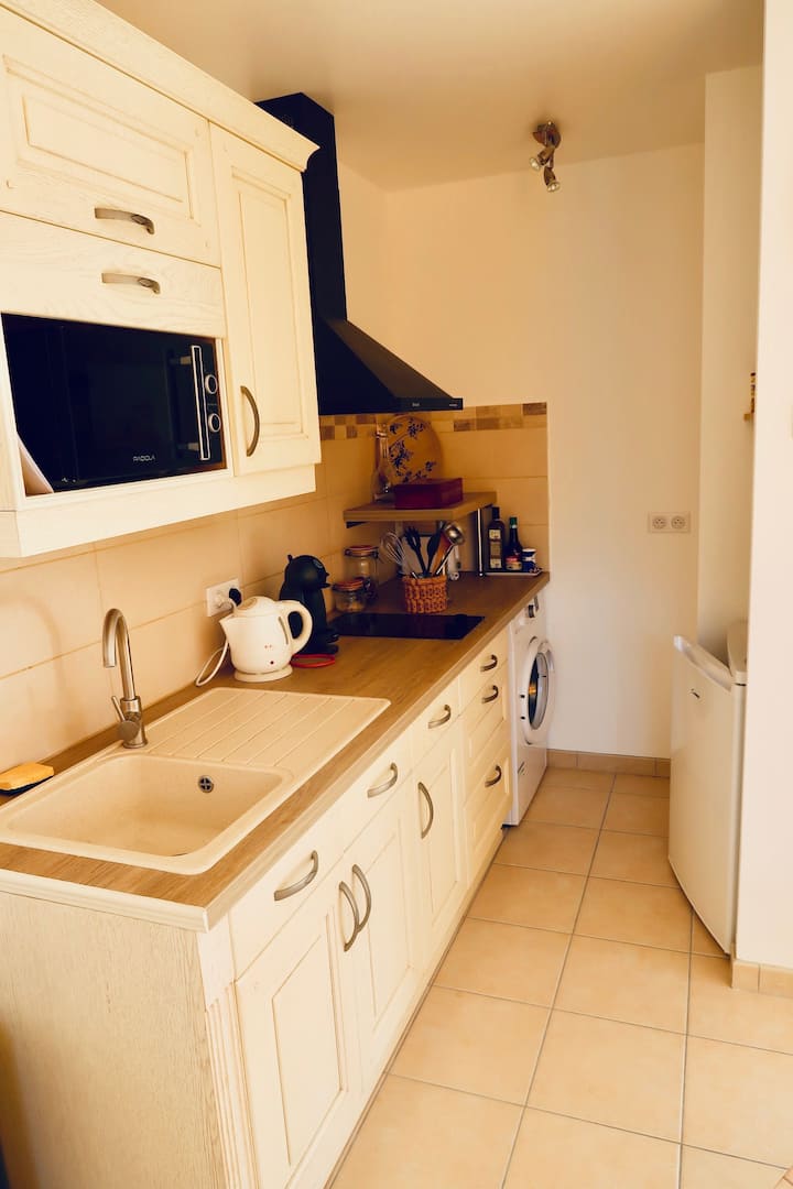 Guest House Au Milieu Des Vignes. - Aude