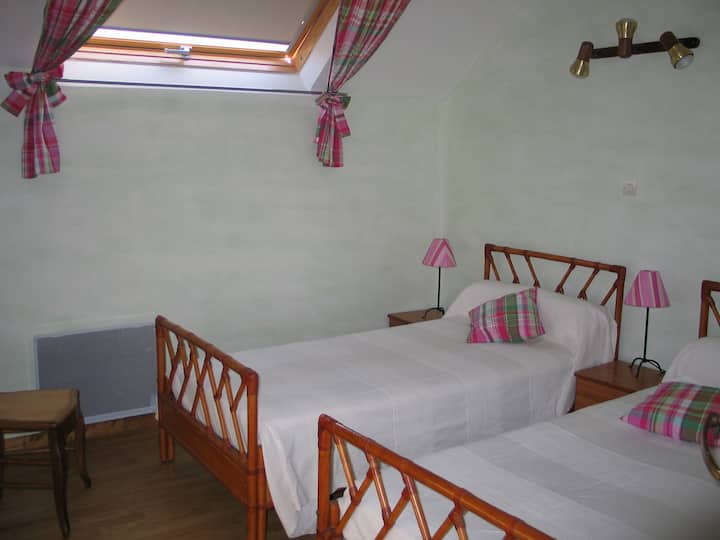 绿色客房配备两张单人床。 提供毛巾和床单。