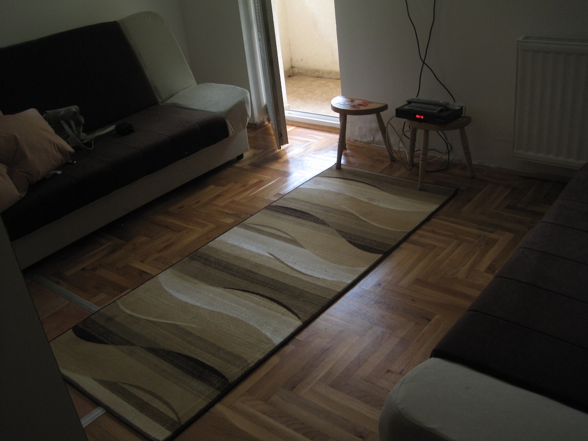 A cozy living room features two pull-out sofas, one in light cream and the other in dark brown. A patterned rug lies on the polished wooden floor, leading to an open balcony door that allows natural light to filter in.