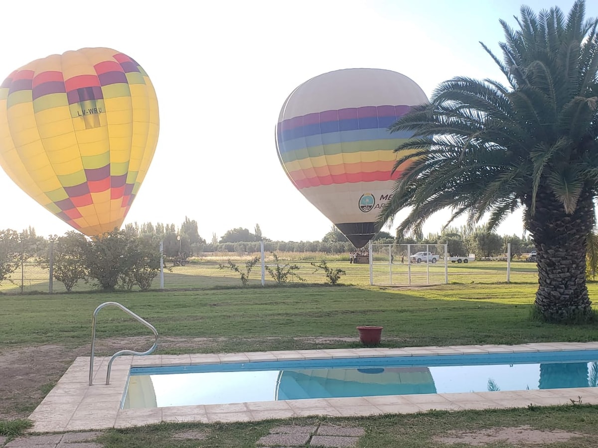 Two colorful hot air balloons are seen in a clear sky, hovering above a green lawn. A tranquil swimming pool is located in the foreground, framed by a palm tree, creating a serene outdoor environment.