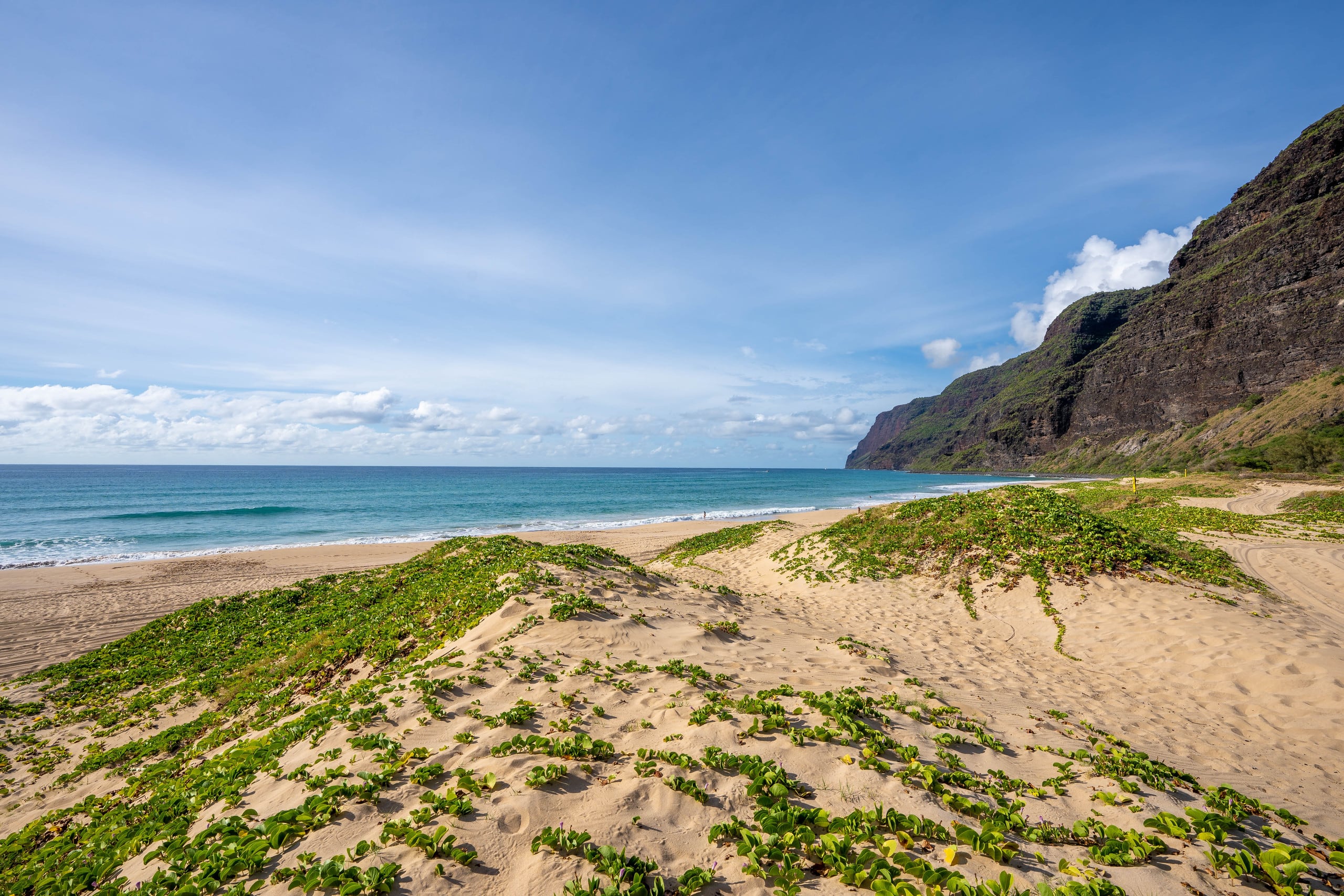 Condo in Koloa · ★4.92 · 2 bedrooms · 4 beds · 2 baths - Image 29