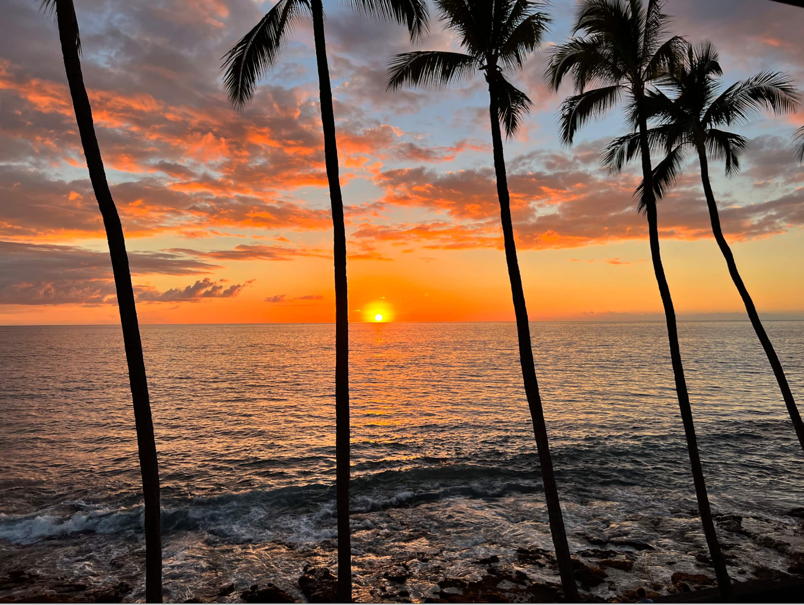 Condo in Kailua-Kona · ★4.98 · Studio · 2 beds · 1 bath - Image 13