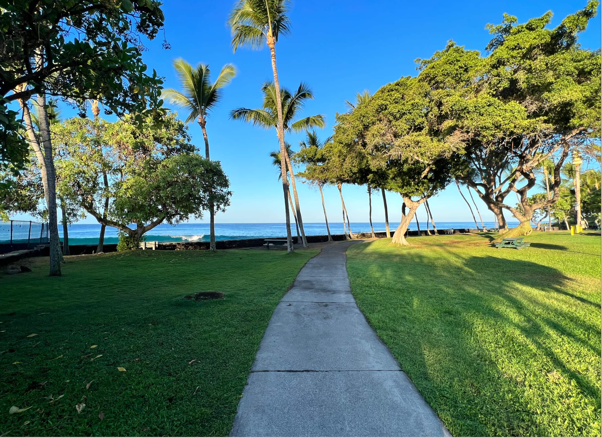 Condo in Kailua-Kona · ★4.98 · Studio · 2 beds · 1 bath - Image 22