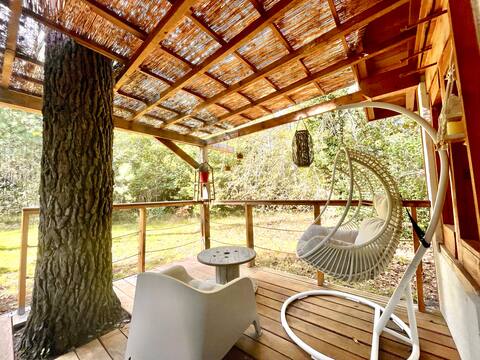 Charming cabin in the woods - Domaine Temali