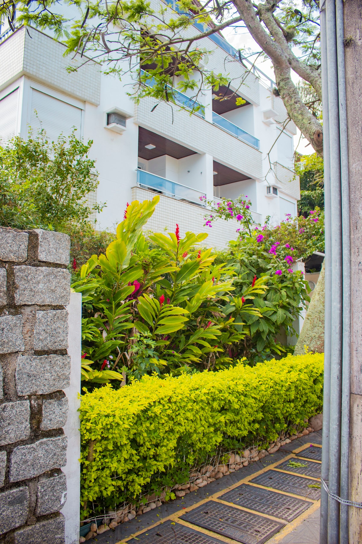 The exterior of the building is surrounded by vibrant greenery, featuring lush tropical plants and colorful flowers. A paved walkway provides access along the garden area, enhancing the inviting atmosphere of this residential space.