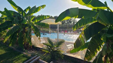 Gite nestled in the heart of a forest- 4 Pers - TV