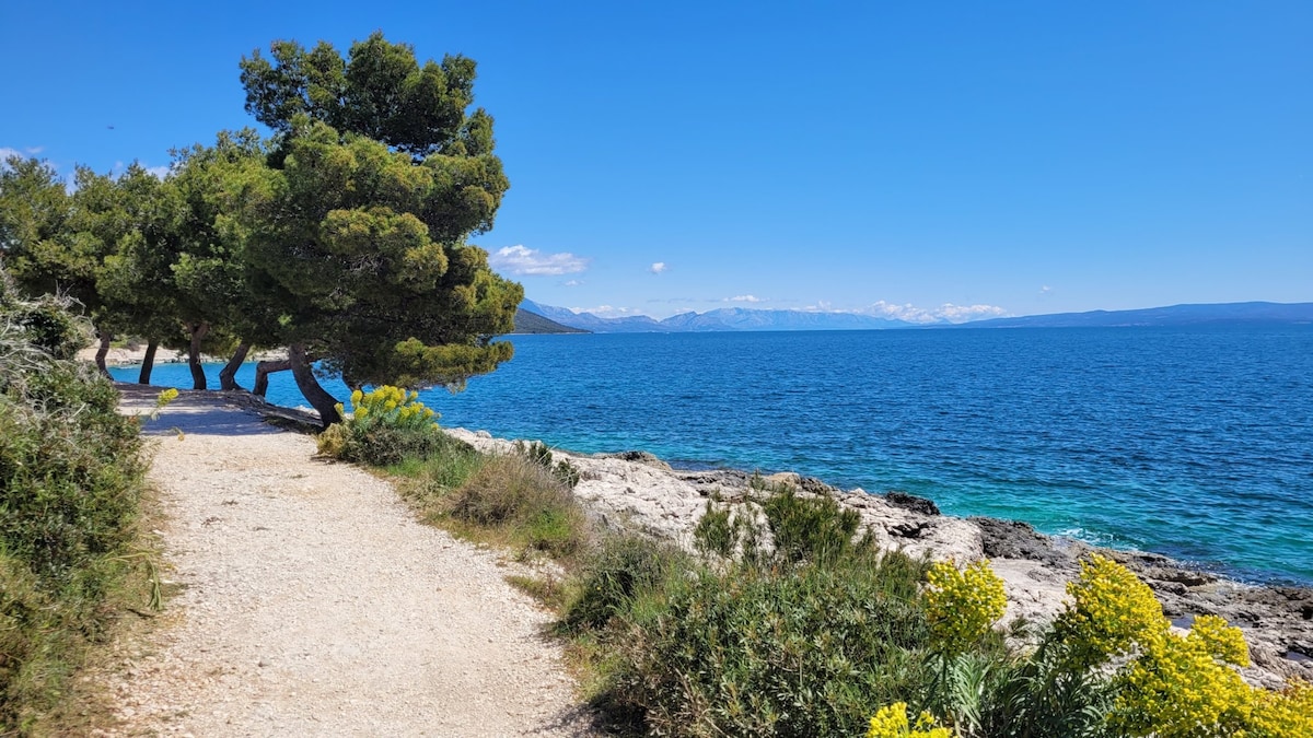 A coastal path is bordered by lush greenery and blooming yellow flowers, leading towards clear blue waters. The scene is framed by trees, with majestic mountains appearing in the distance under a bright blue sky.