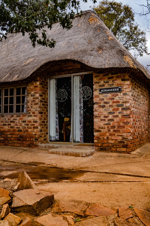 Bokmakierie - Kieriebos (in the Vredefort Dome)