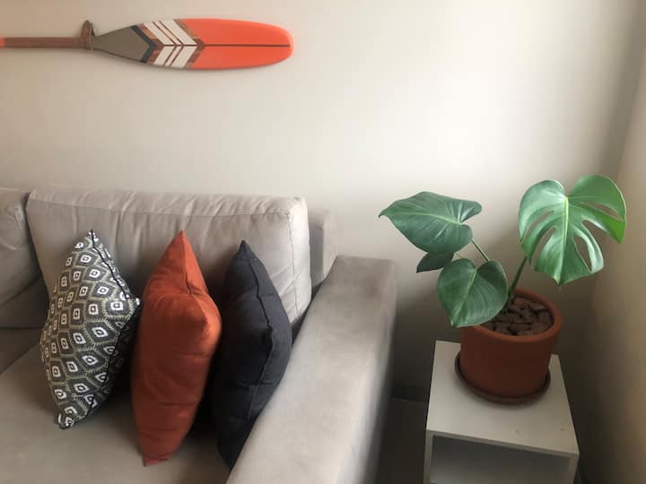 装饰和植物的细节，都充满了爱。
Chenille沙发，请不要感到潮湿，我们真的很感激。