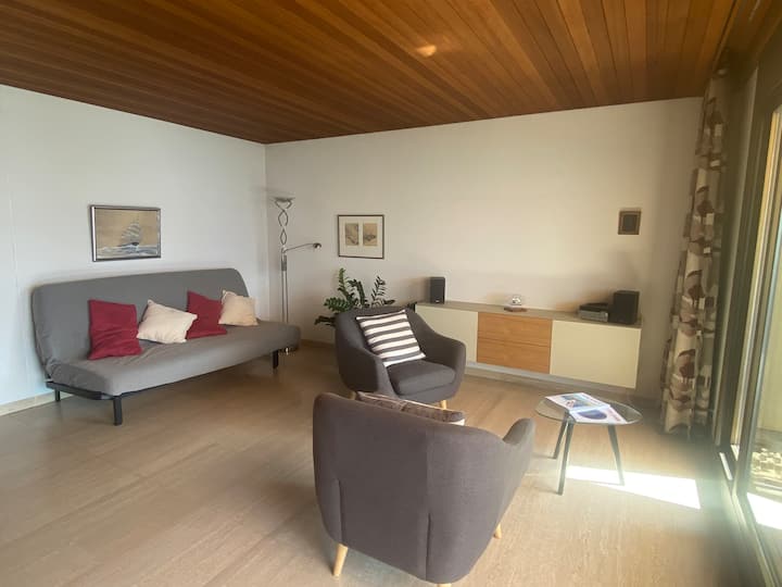 2.5 Room App With Fantastic Terrace & View & Pool - Losone