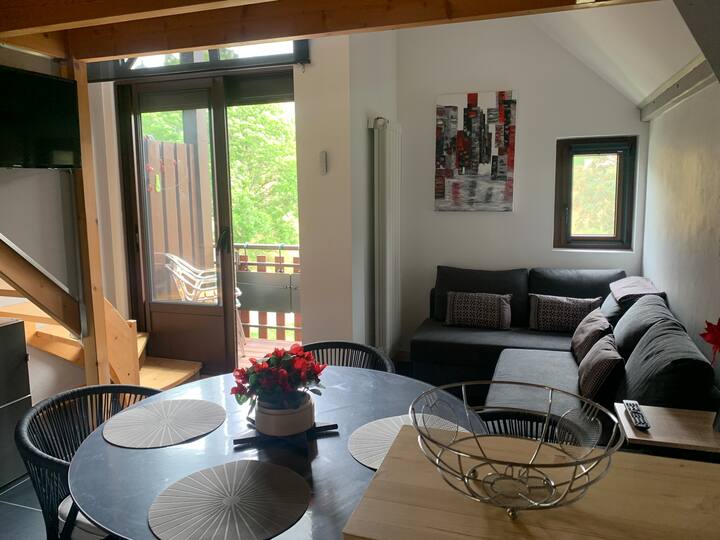 Superbe Appartement Ambiance Chalet Dans Résidence - Bois-d'Amont