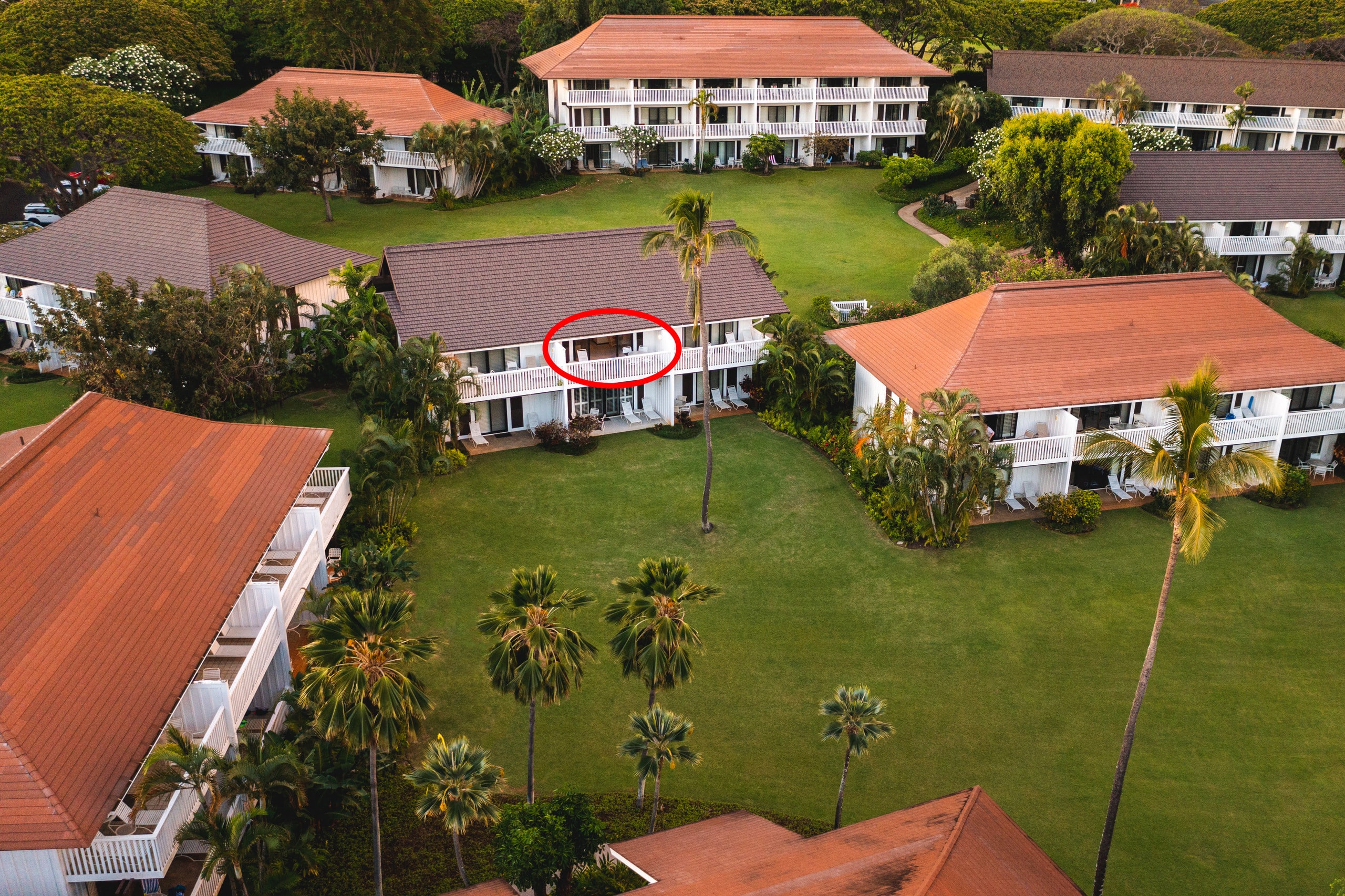 Condo in Koloa · ★4.9 · 1 bedroom · 2 beds · 1 shared bath - Image 14