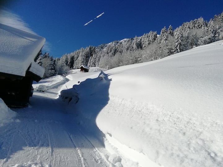 Portes du Soleil Vacation Rentals & Homes - Val-d'Illiez ...