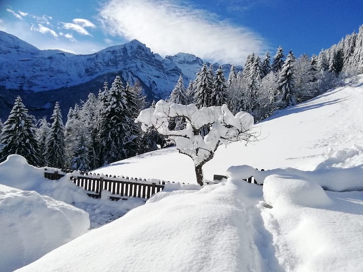 Portes du Soleil Vacation Rentals & Homes - Val-d'Illiez ...