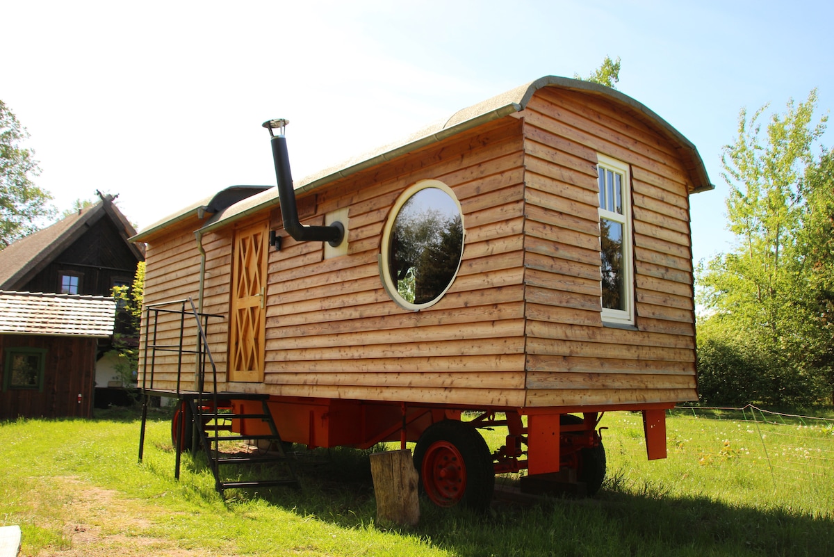 A rustic wooden caravan is shown, featuring large windows and a round porthole window. The exterior is constructed of natural wood with a green roof. The caravan is elevated on wheels, and a set of stairs leads up to the entrance, surrounded by a grassy yard.