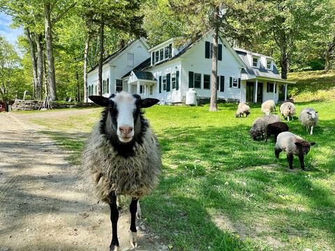 Clark Farm-2 Master-Suites, Great kitchen, views!