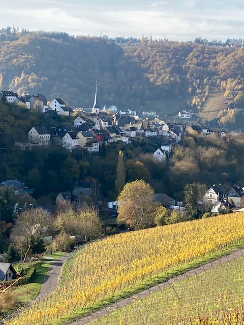 Stylish apartment on the Mosel