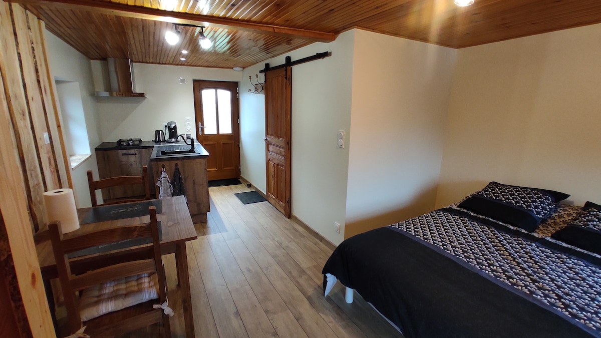 A cozy studio space showcases a wooden ceiling and light-colored walls. A double bed is positioned next to a table and chairs, with a kitchenette in the background featuring modern appliances. Natural light enters through the door, enhancing the inviting atmosphere.