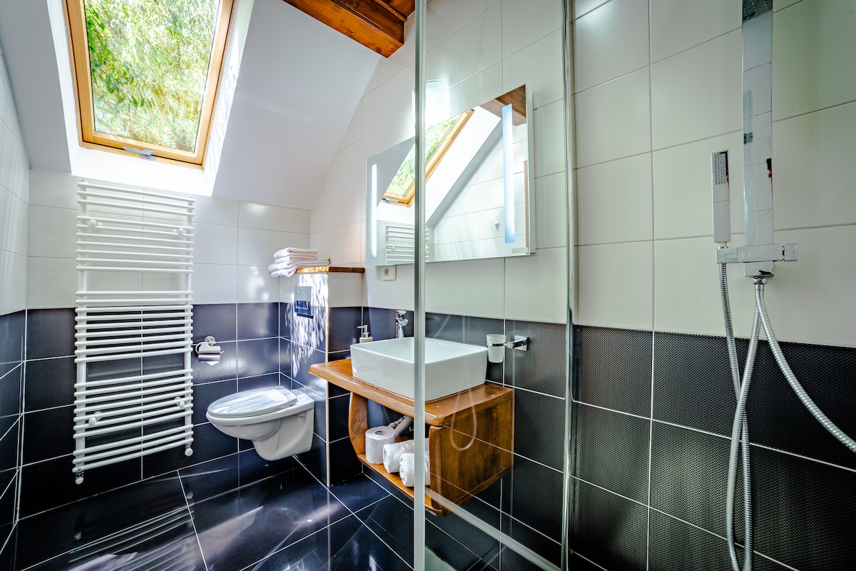 The bathroom features a modern design with a large wall-mounted sink on a wooden shelf. A sleek shower is equipped with glass panels. The space is complemented by natural light from a skylight and is fitted with contemporary fixtures, including a heated towel rack.