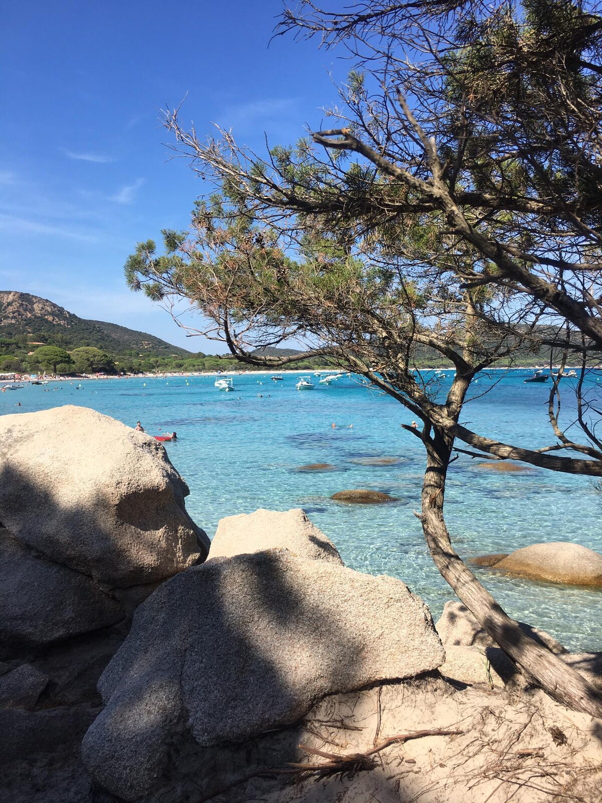 Clear turquoise waters are framed by rocky formations and a sparse tree. Small boats can be seen in the distance, while a sandy beach is visible in the background, inviting relaxation and exploration. Lush green mountains rise beyond the shoreline, complementing the serene landscape.